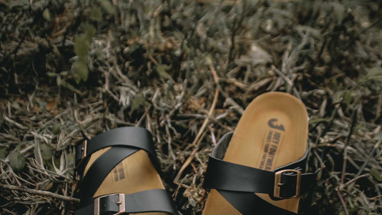 Exploring the Enchanting World of Prized Products: Embracing the Joy of Delightful Discoveries