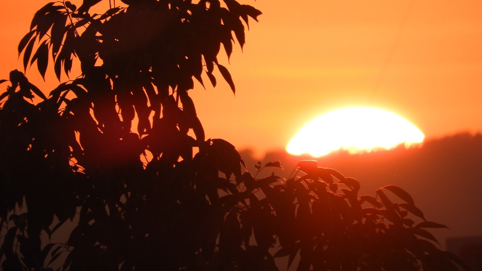 The Power of Authenticity: Building Trust and Credibility
Unleashing Genuine Connections: The Key to Authenticity
Crafting a Transparent Narrative: Enhancing Trustworthiness
Authenticity in Action: Practical Strategies for Building Credibility