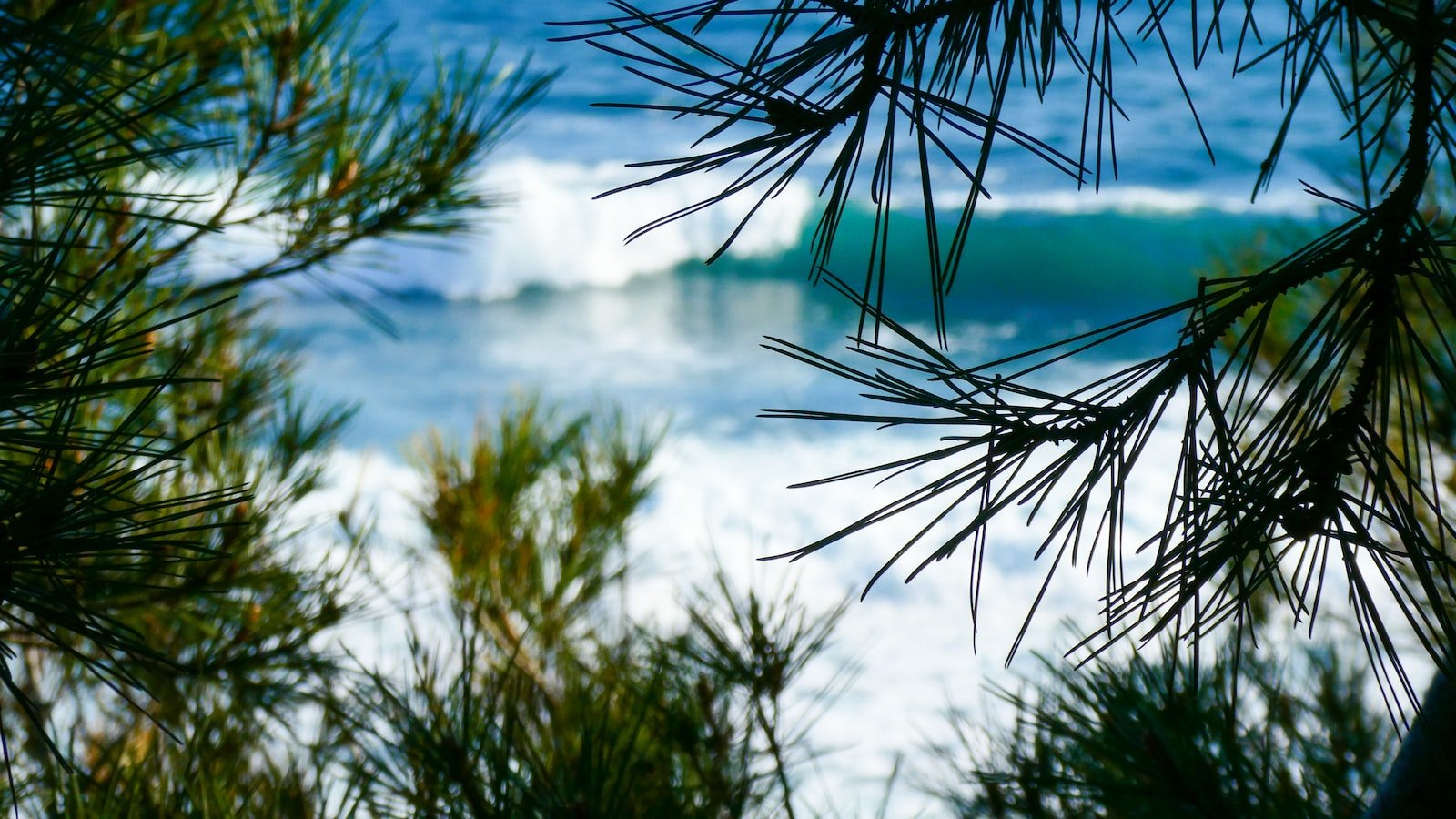 Optimizing Customer Satisfaction: Seamlessly Implementing Swift Solutions in Online Shopping