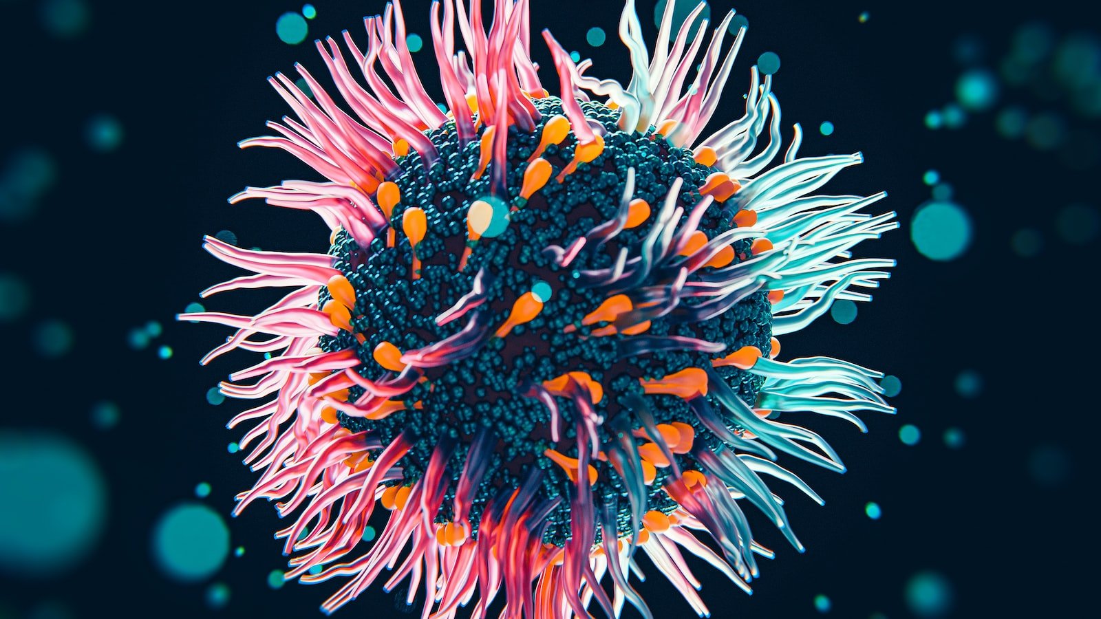 Unbox Your Brand's Potential: The Key Elements of Effective Branded Packaging