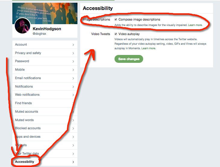The Power of Alt Text: Unlocking the Hidden Potential for Image SEO