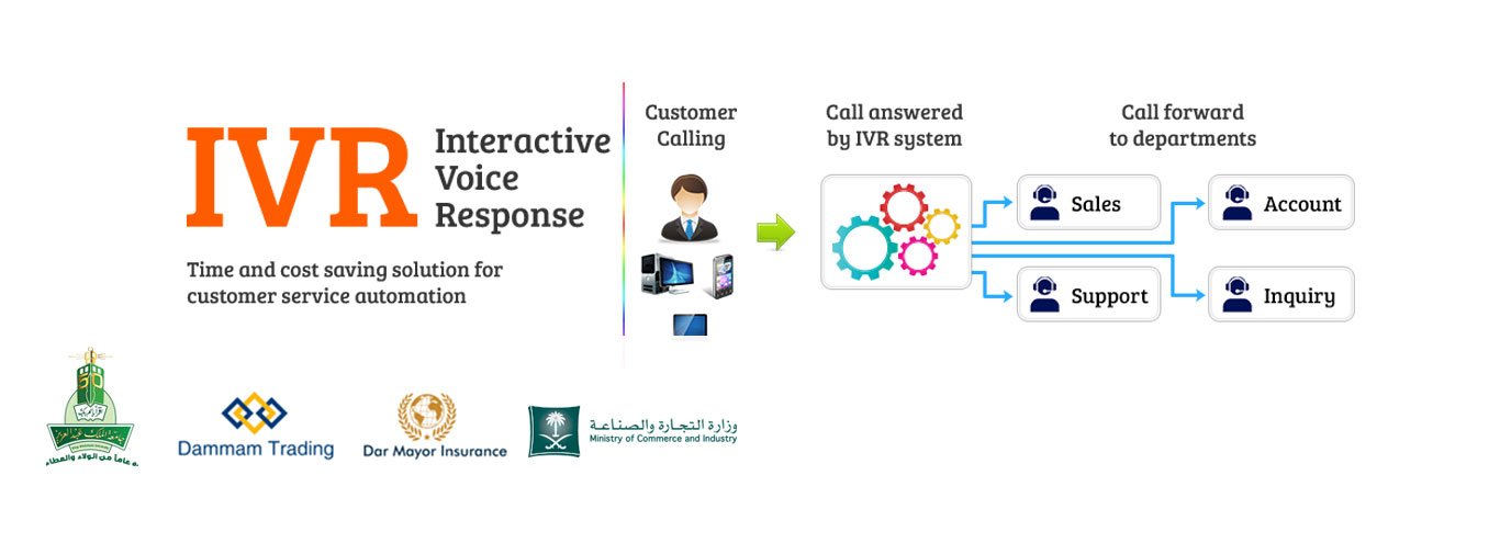 Harnessing the Echo: Strategies and Recommendations for Businesses in the Voice Commerce Era