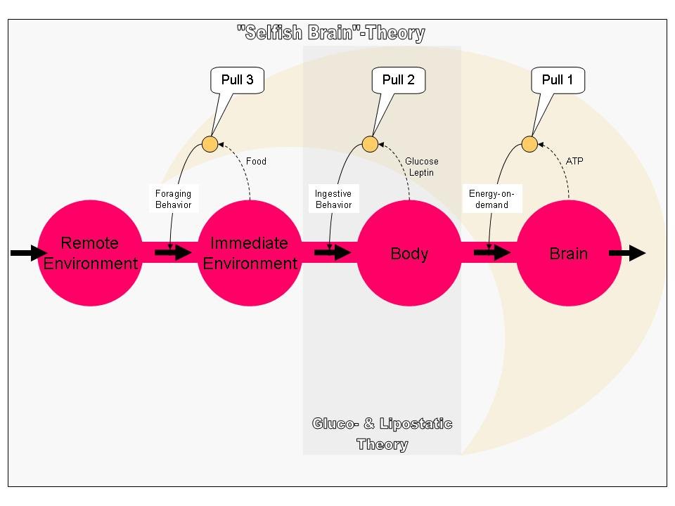 Driving Change through Consumer Behavior: Encouraging Mindful Consumption