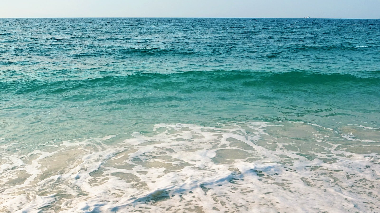 Eco-Wave: Fostering Awareness and Education on Sustainable Consumption