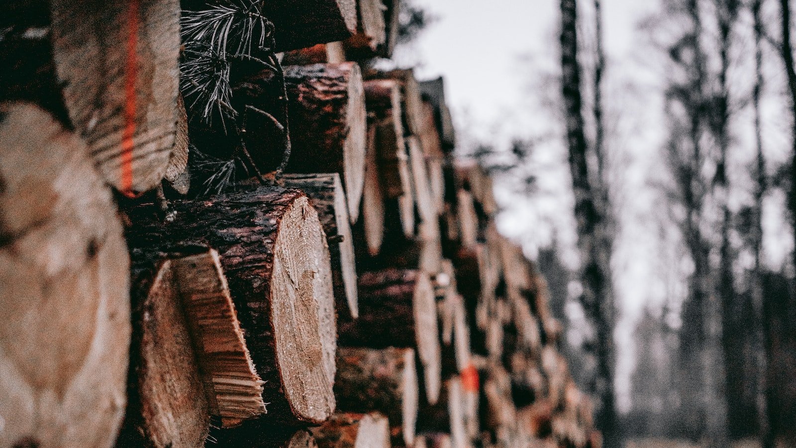 Finding the Perfect Balance: Creating a Memorable and Meaningful Domain Name