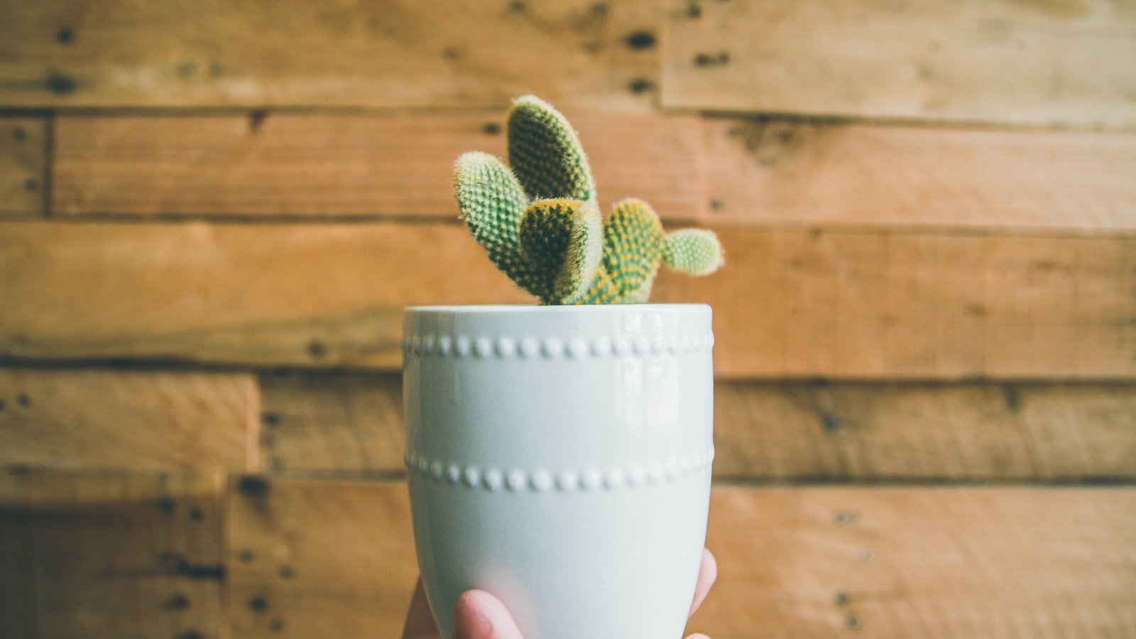 Maximizing Reach: Leveraging Influencer Marketing to Amplify B2C Campaigns
Building Authentic Connections: Unveiling‍ the Key Elements of Successful Influencer Partnerships
Crafting Effective Strategies: A Step-by-Step Guide‍ to Implementing Influencer ‌Campaigns
Unleashing Potential: Unlocking Key Benefits⁤ of Influencer Marketing for B2C Brands