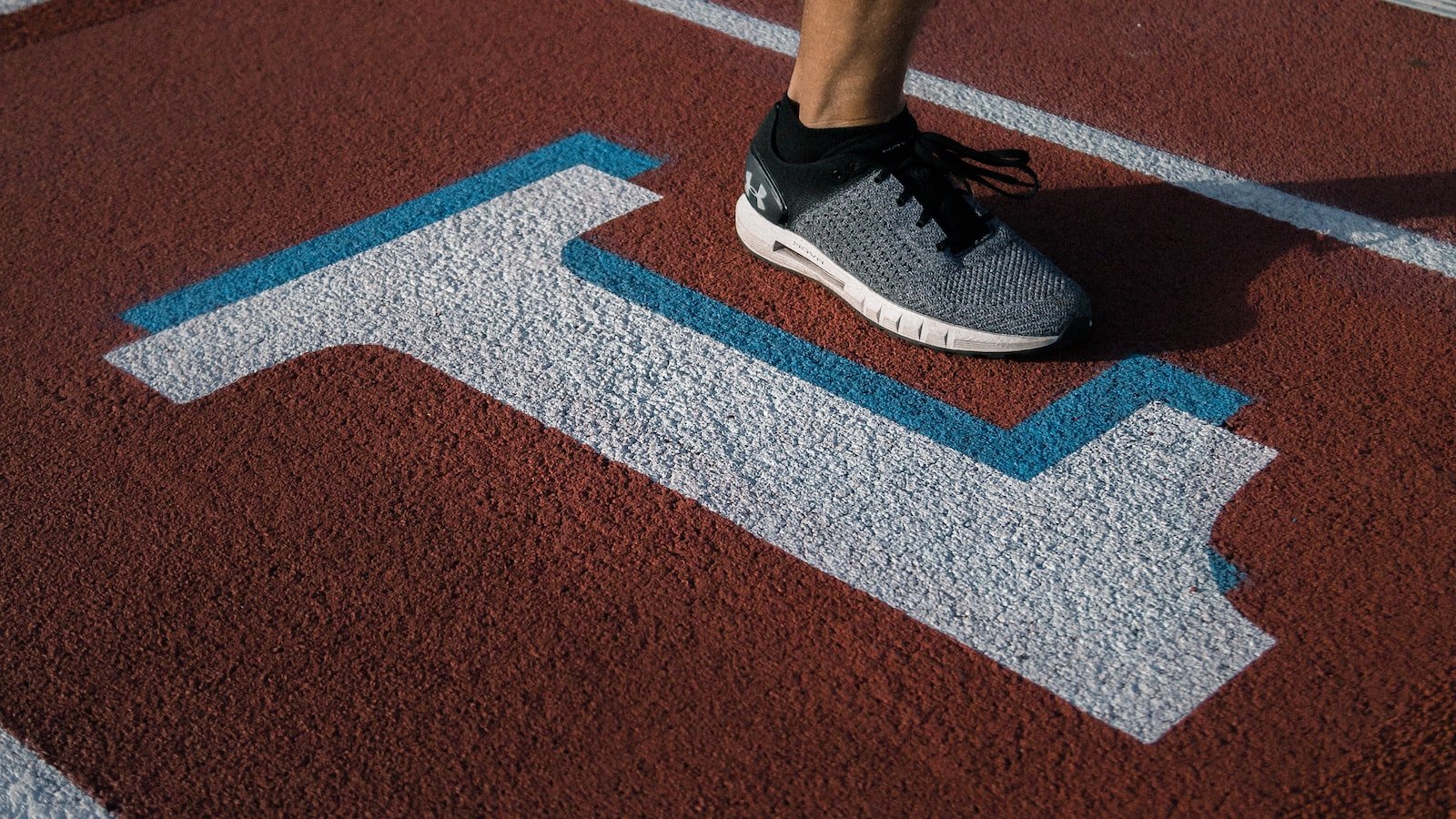 The Impact of Algorithm Agility on Website Rankings: Insights ⁤and Analysis