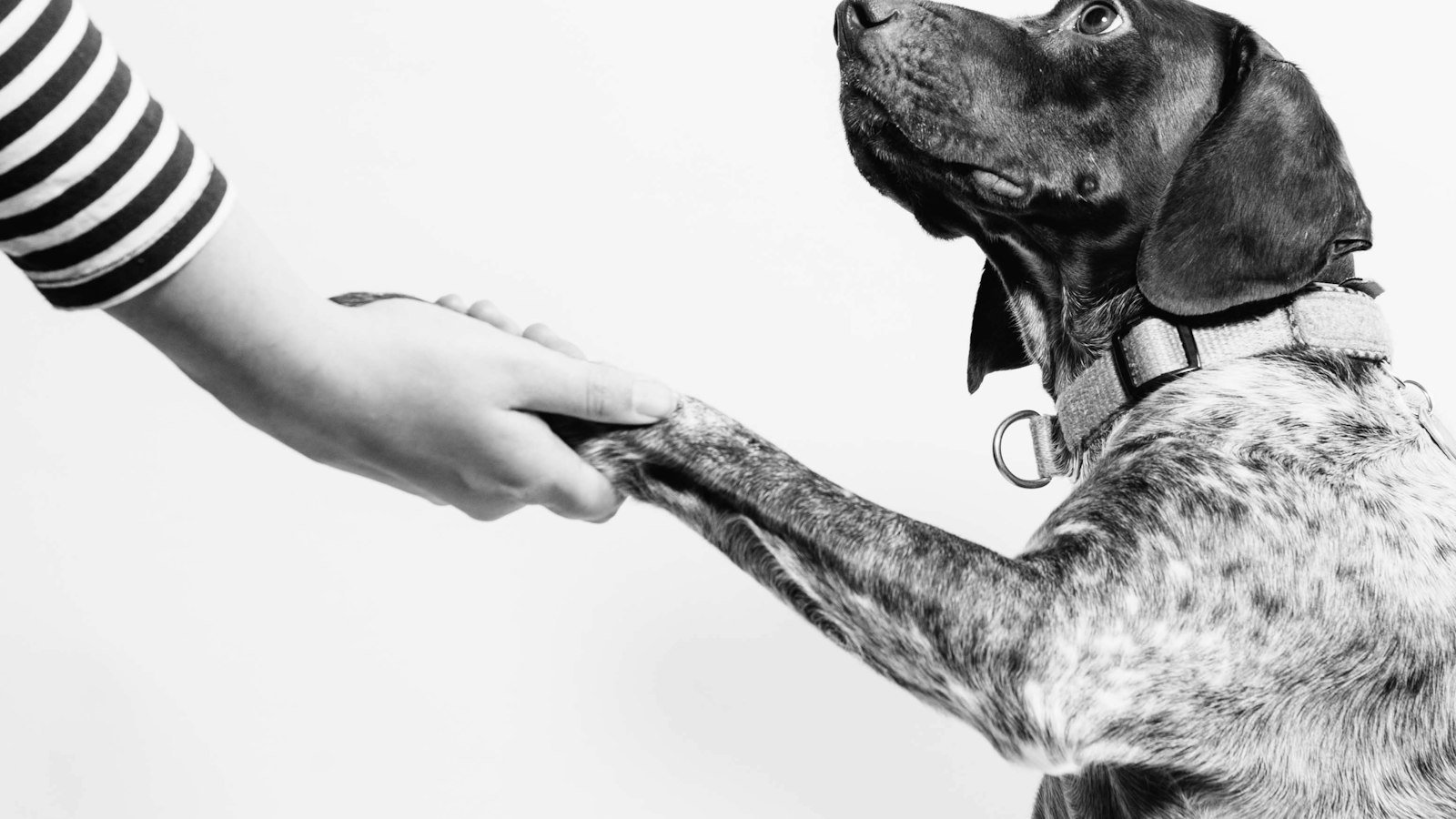 Unveiling the Power of Chat Support Analytics