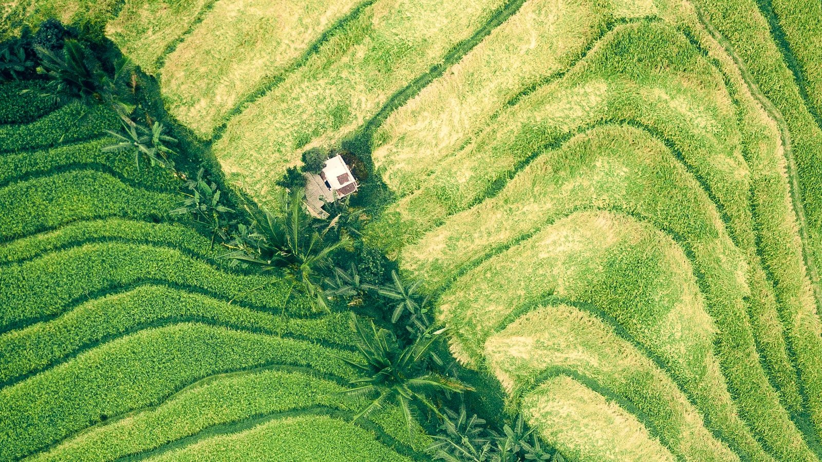 Harnessing the Art‌ of Persuasion: Creating⁤ a​ Compelling Value Proposition for Your Product