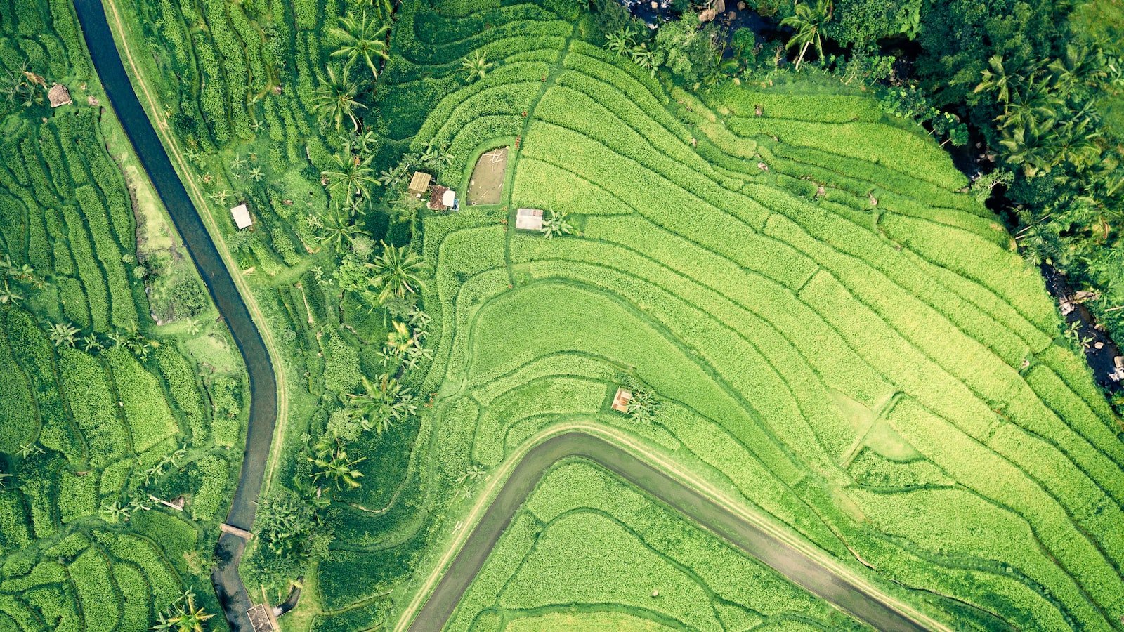 2. Enhancing User Experience: Harnessing BERT to Create Engaging and Relevant Content