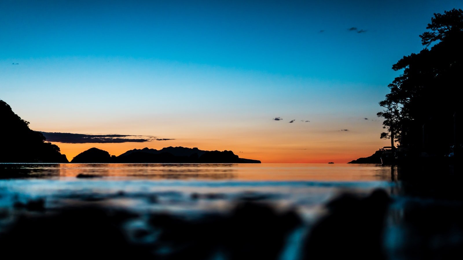 Navigating Regulatory Barriers: Strategies to Ensure Compliance and Capture Global Markets