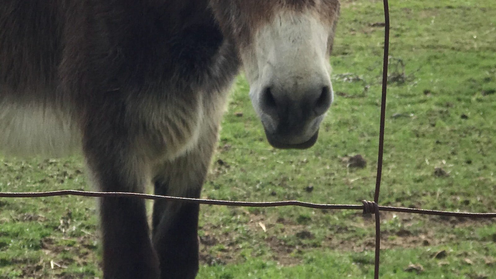 Mastering the Art of Website Transformation with 301 Redirects