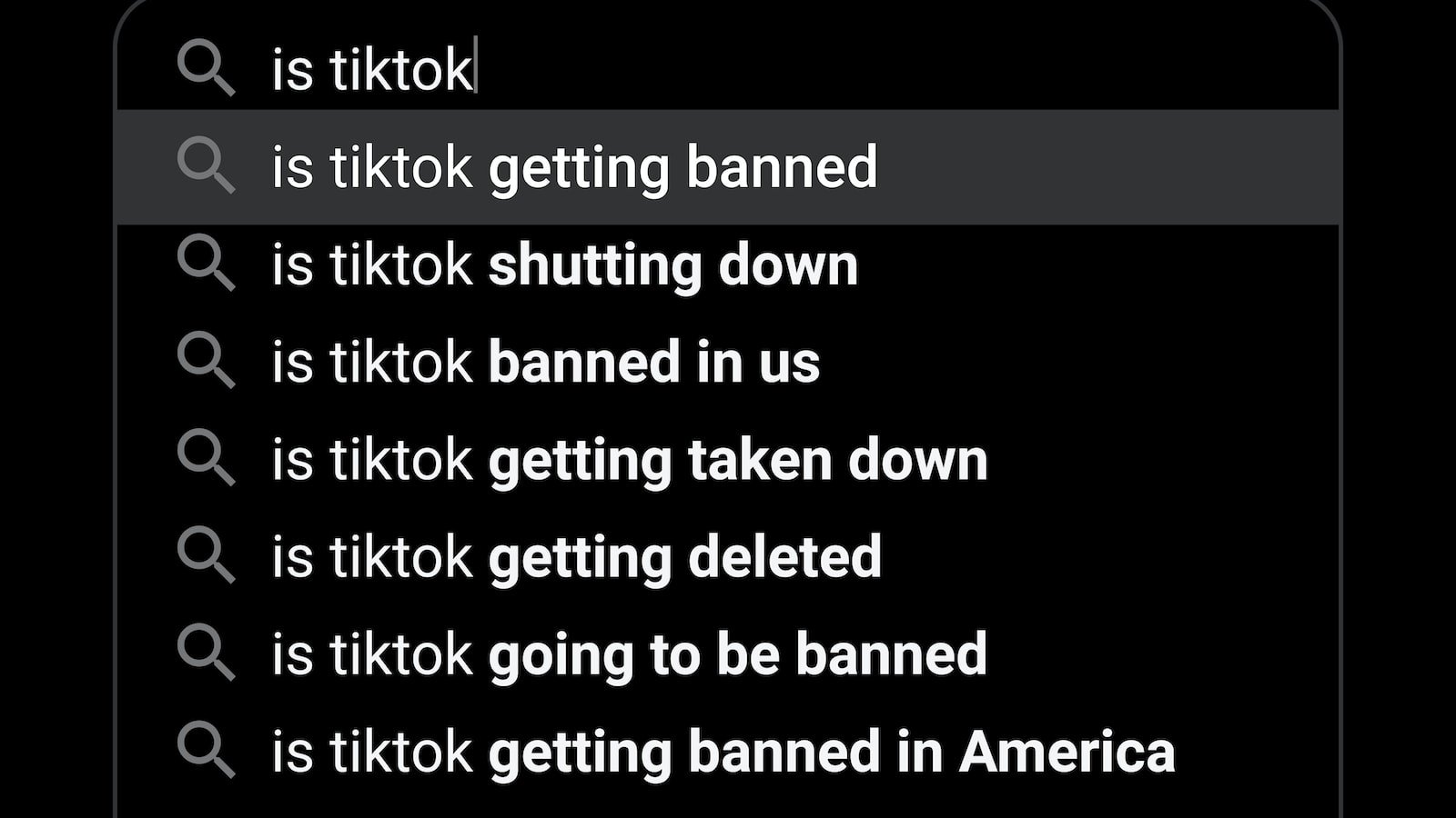 Understanding Google Penguin Penalties: Unraveling the Algorithm's Impact on Websites