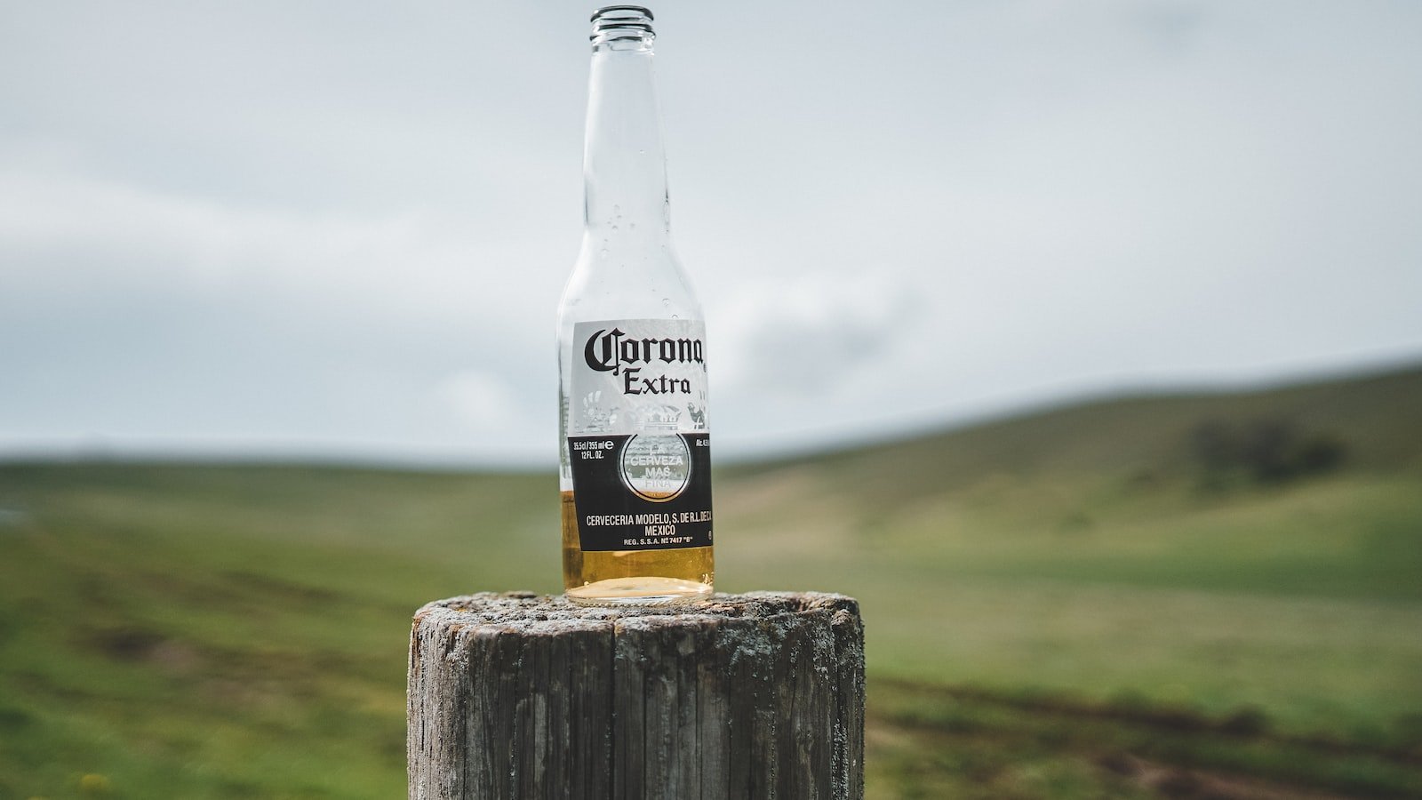 Harnessing the Power of Content Refreshing: Techniques to Improve Visibility and engagement