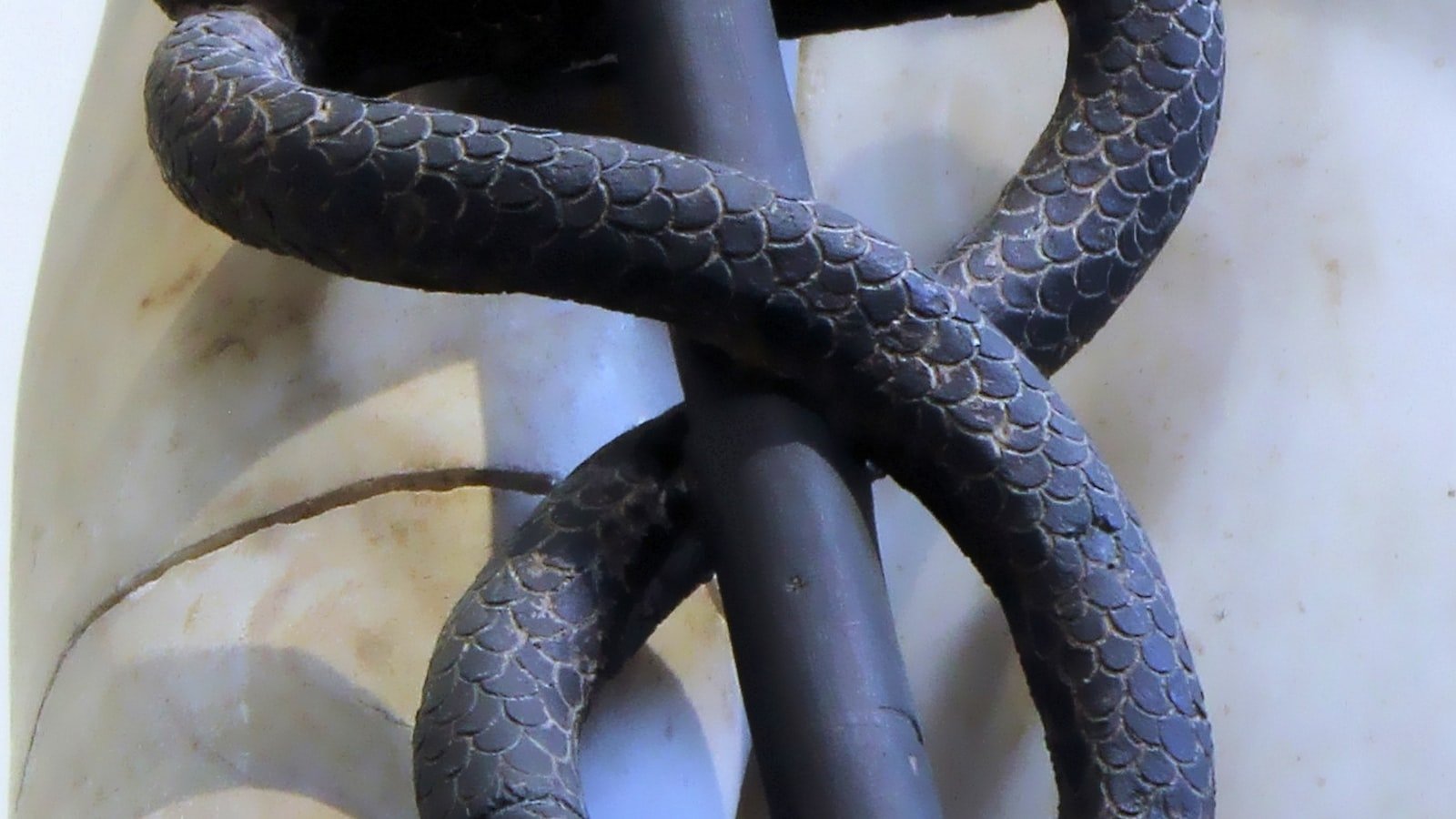 Unlocking New Potential: Understanding the Impact of Voice Commerce on Consumer Behavior