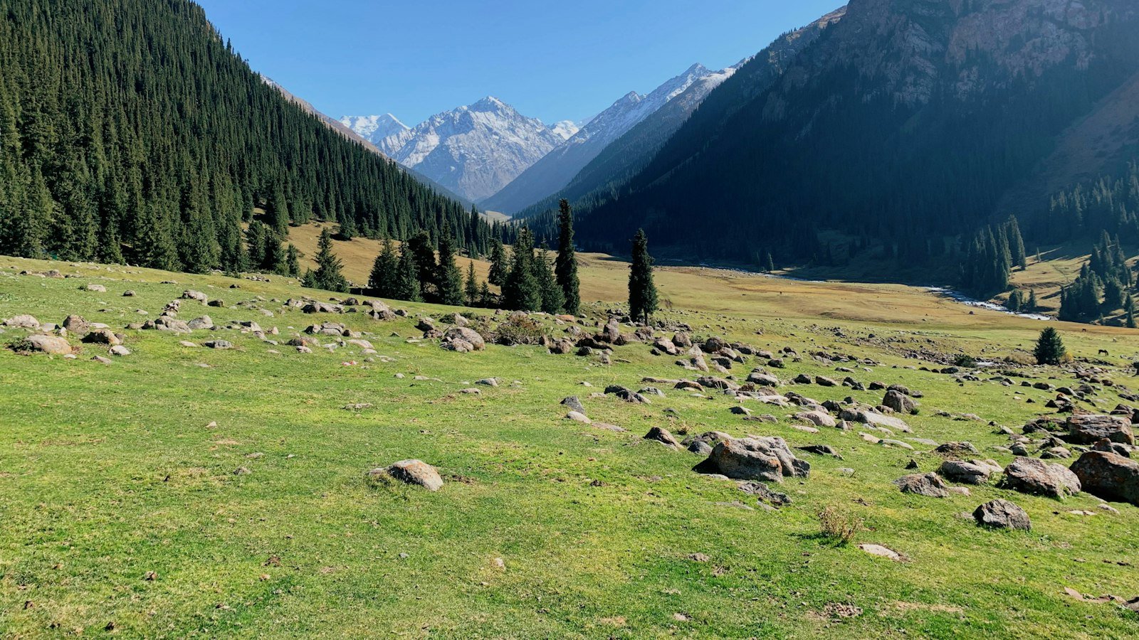 Recommendations for a Privacy-centric eCommerce: Enhancing Data Security and User Consent