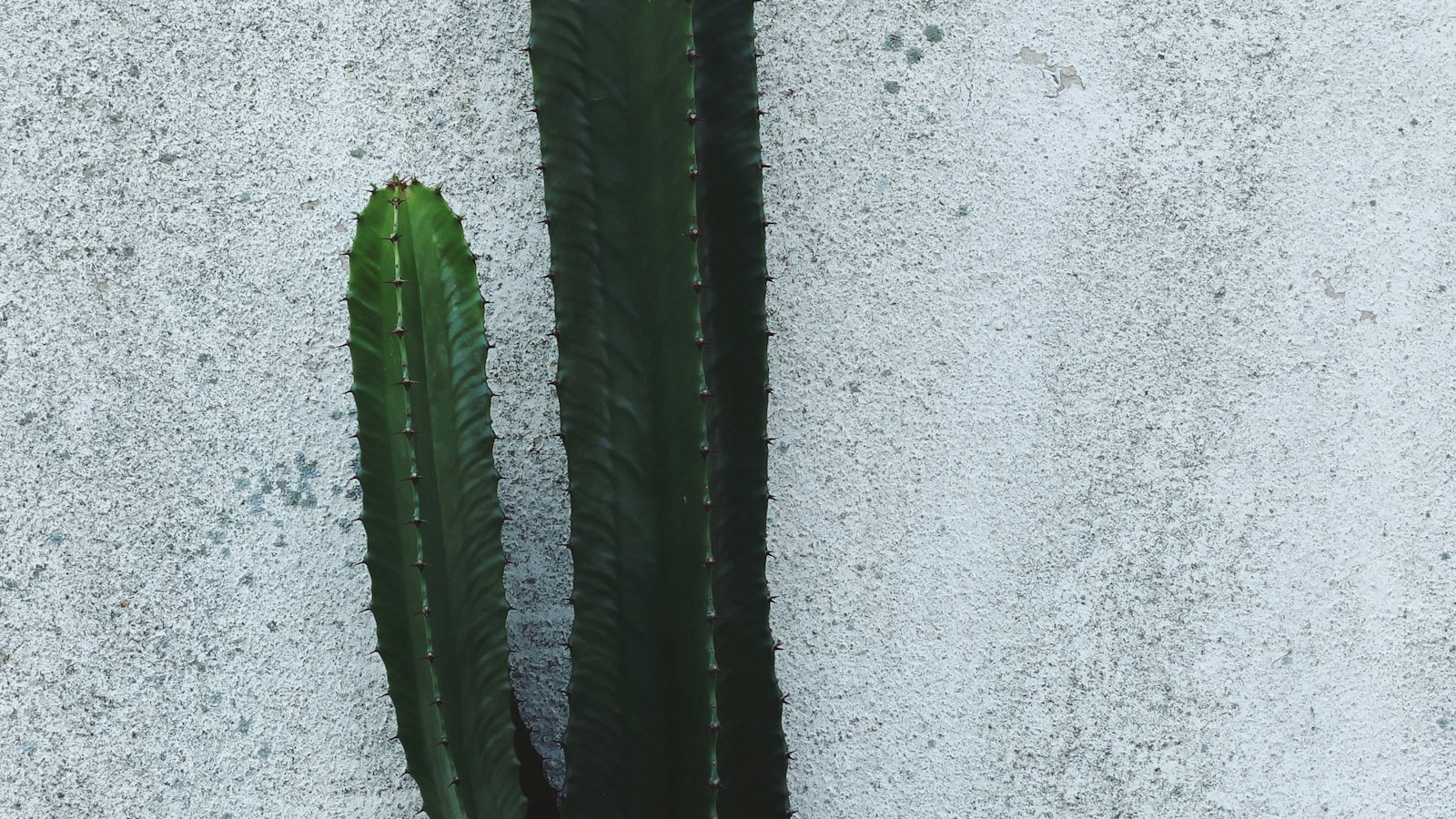 1.‍ Maximizing Online‍ Revenue:​ Harnessing the Power of Google AdSense
2. Uncovering the Benefits: How Google‌ AdSense⁣ Boosts Website ‌Monetization
3. Unlocking Potential: Key‌ Strategies to Optimize​ AdSense Earnings
4.⁣ Navigating Success: Proven Tips and Best Practices ⁤for AdSense Monetization