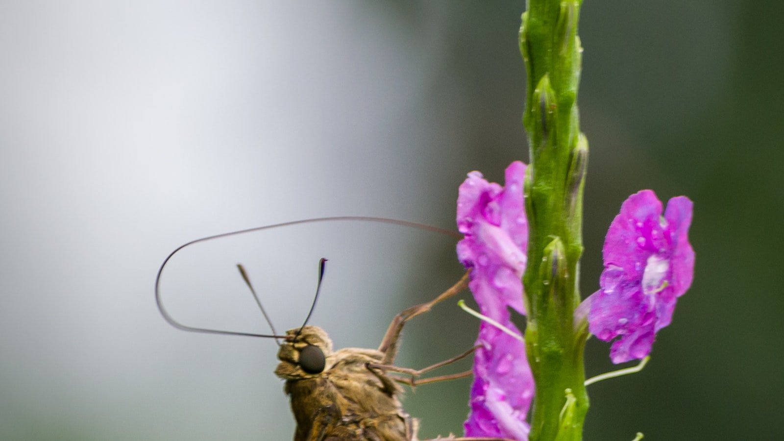 Crafting the Perfect Branded Keyword Strategy