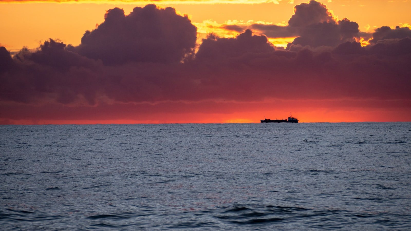 Navigating the Maze: Tips for Negotiating Better Shipping Rates