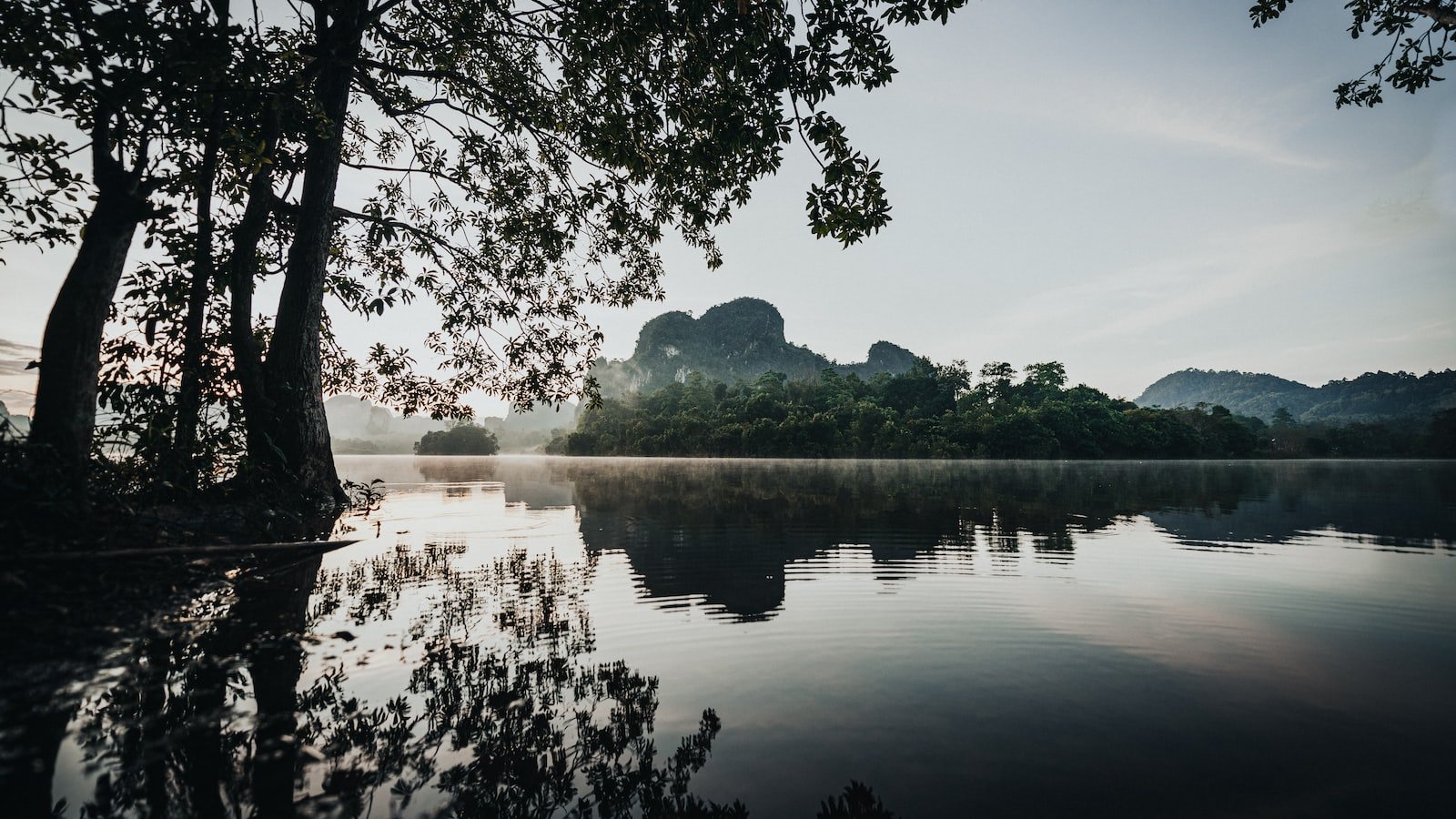 Unleashing the Potential:⁢ How Content Updates Boost SEO Rankings