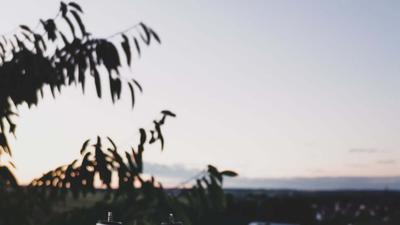 Enhancing Image Metadata for Optimal Search Engine Ranking