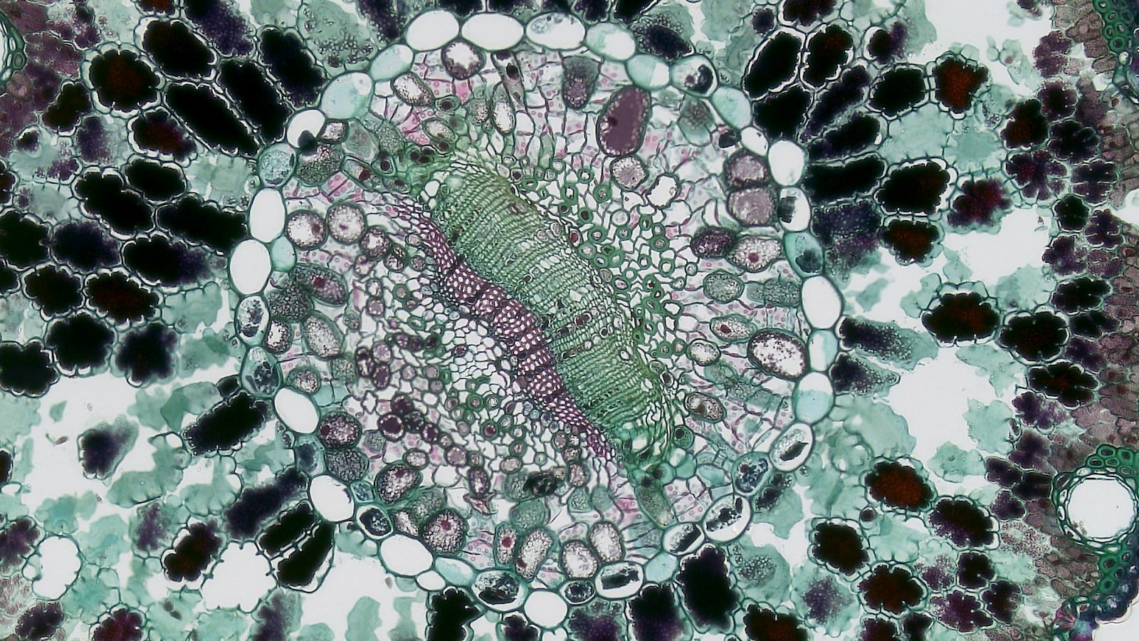 Decoding HTTP vs. HTTPS:⁣ Understanding the Key Differences and SEO Implications