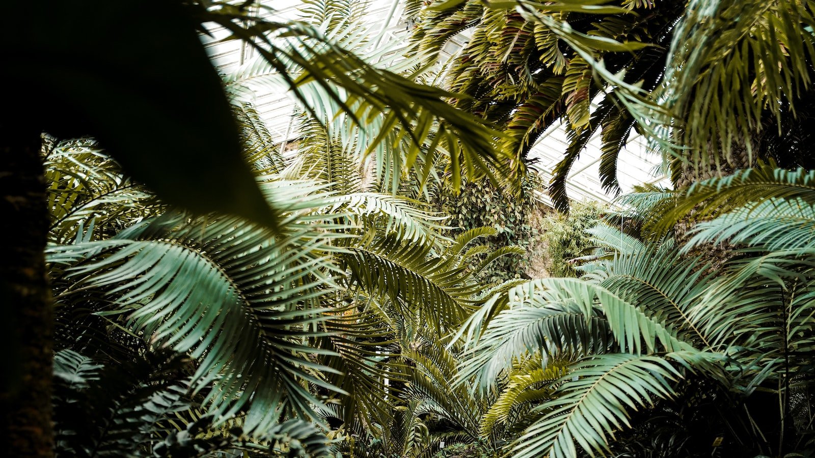 Harnessing the Influence of Deep Linking for Seamless User Experience and Engagement