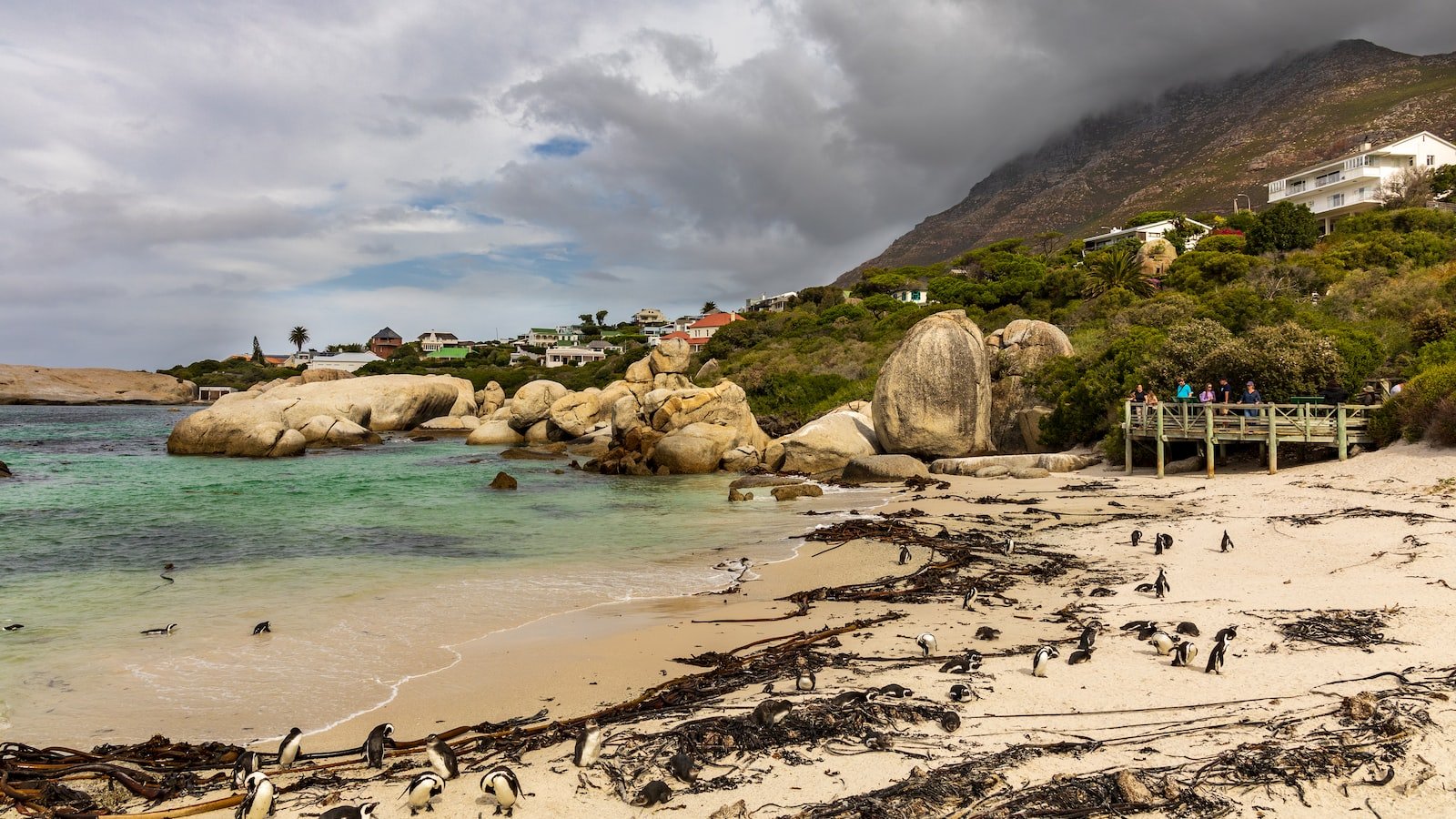 Unlocking Success: Proven Strategies to Recover From or Avoid Penguin Penalties