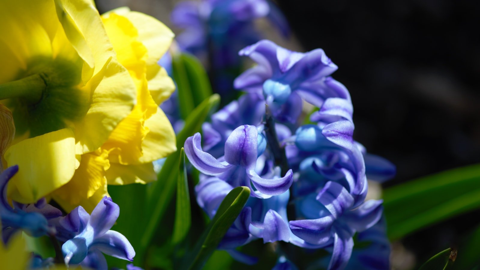 Dynamic Pricing Models: Unveiling the Power of Personalization