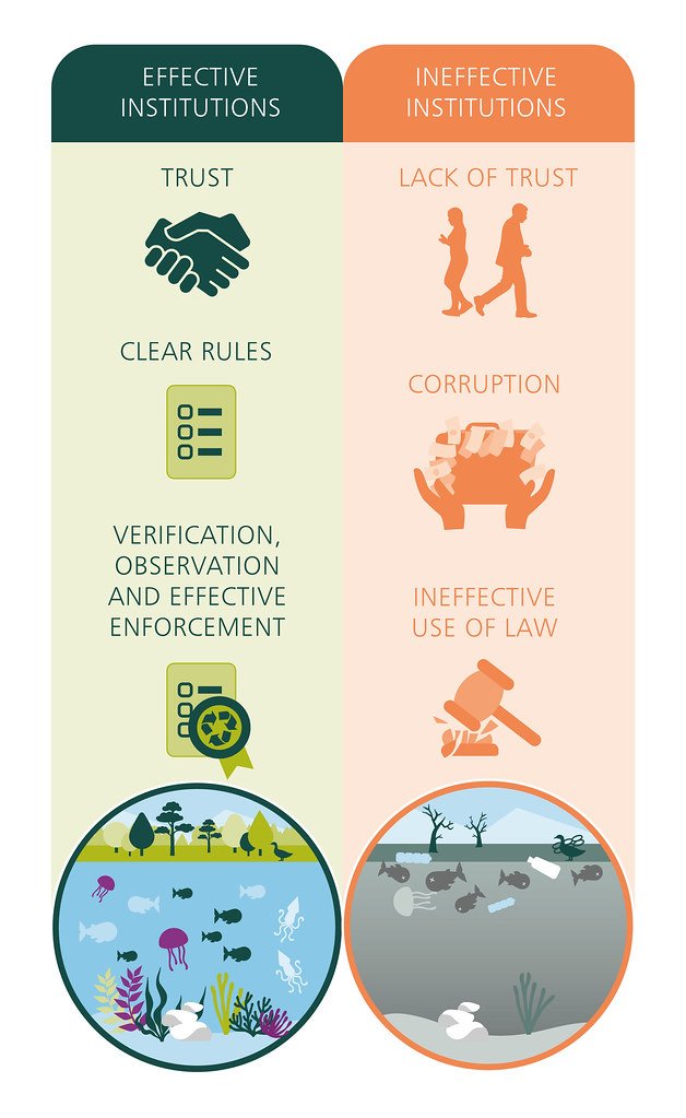 Effective Strategies to Avoid Keyword Cannibalization