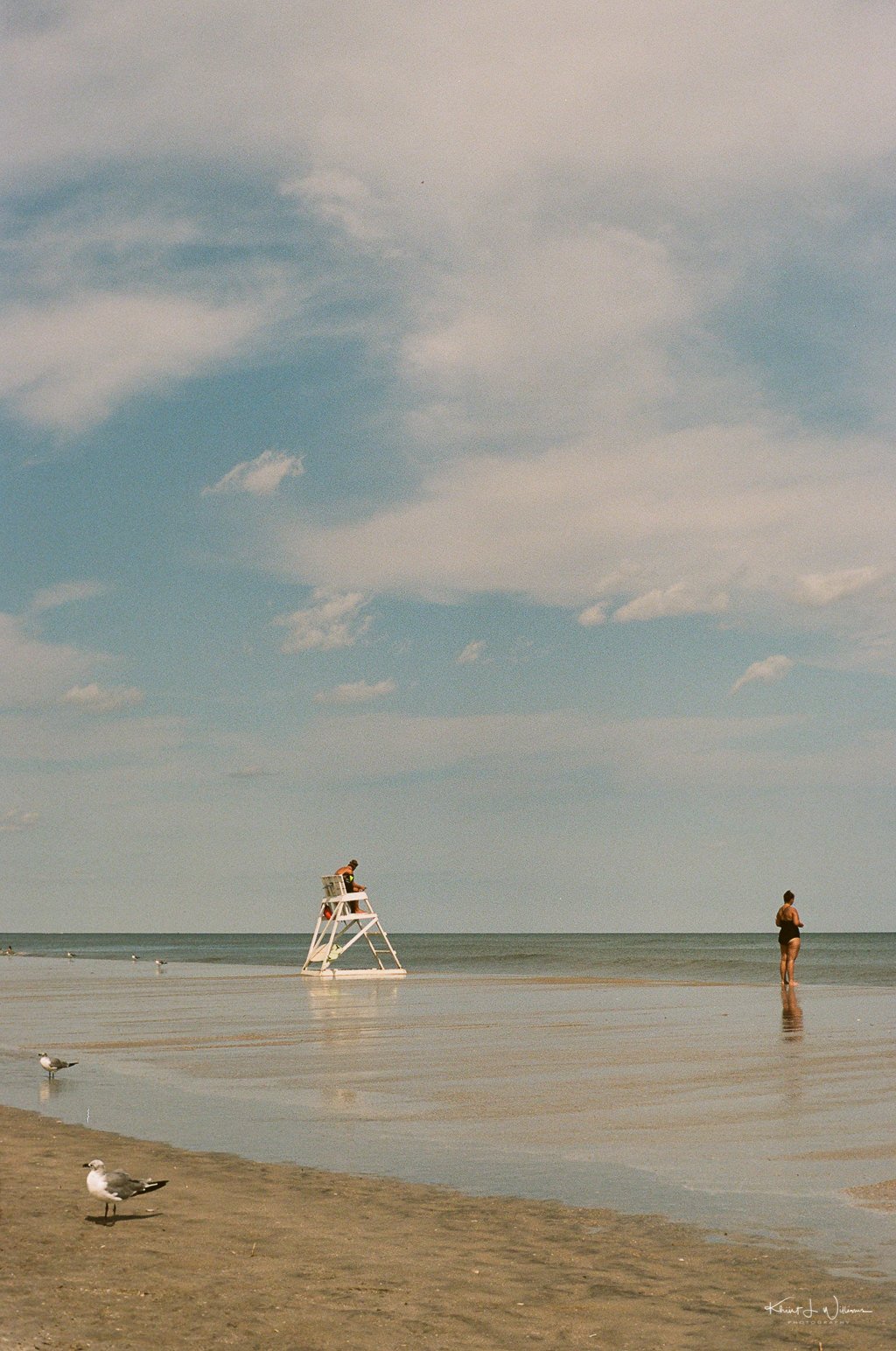 Aesthetics that Convert: Striking Visual Design and Compelling Product Imagery