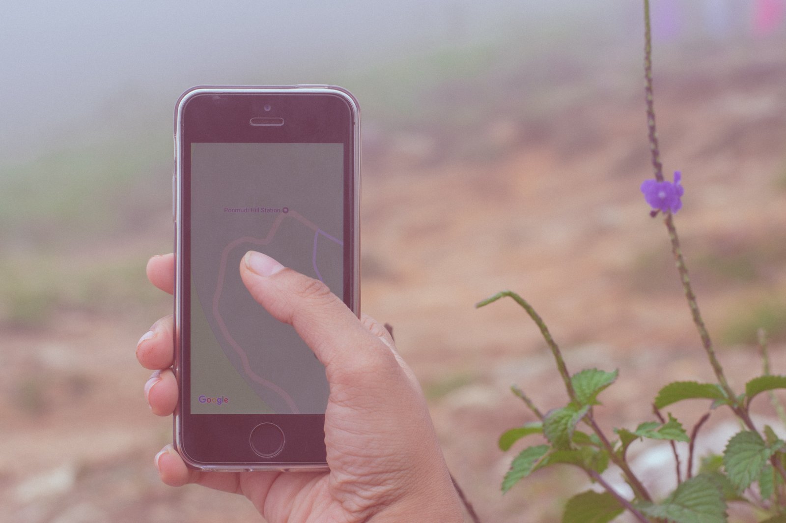 Navigating the Complexities of Trust Signals and Authority Building