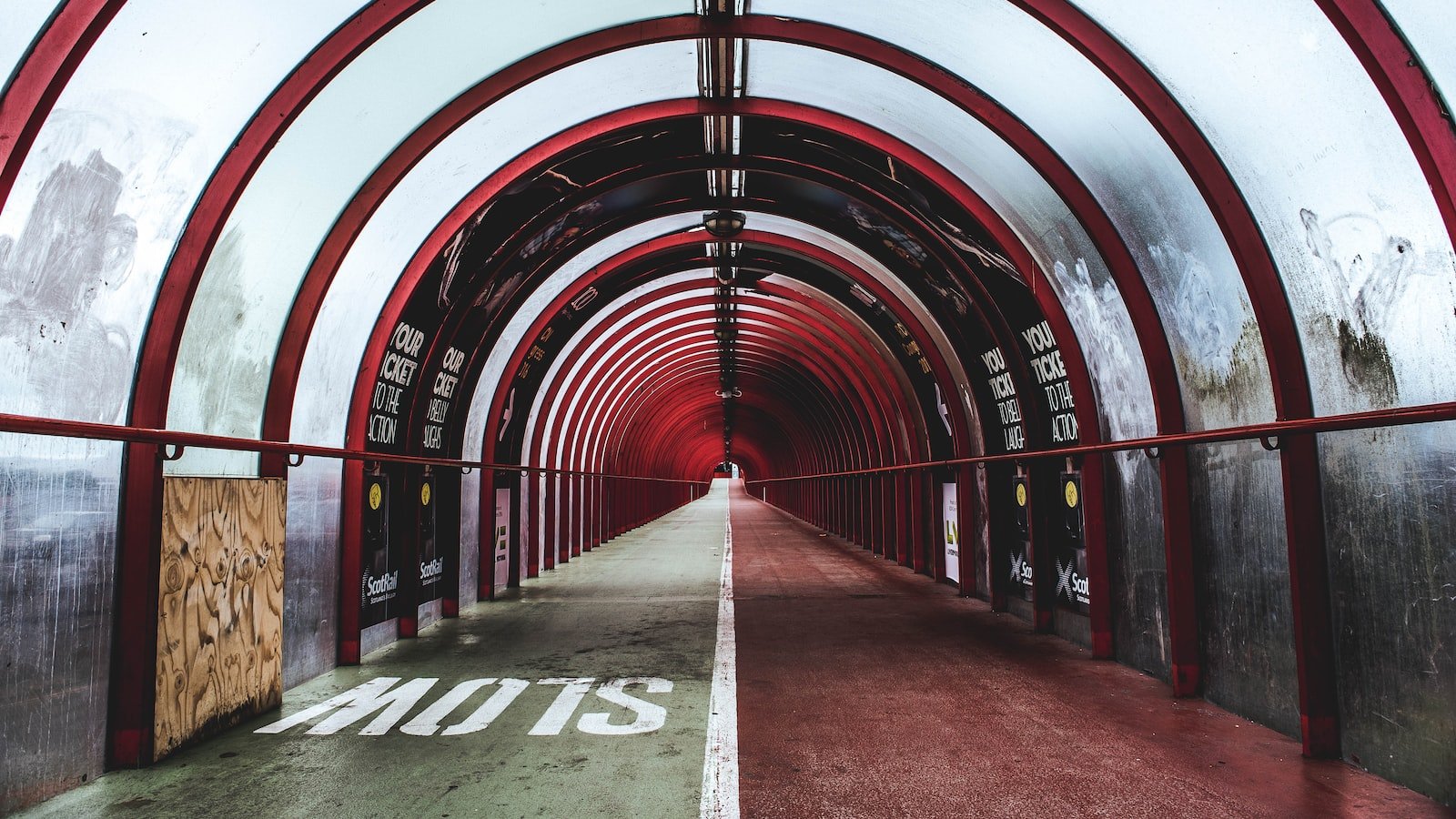 Harness the Power of Google Ads to Amplify your Advertising Reach