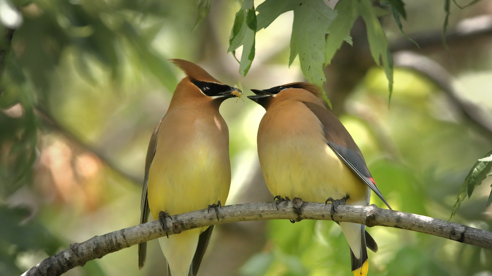 2. Tracking Customer Behavior: A Game-Changing Strategy for Enhanced Performance