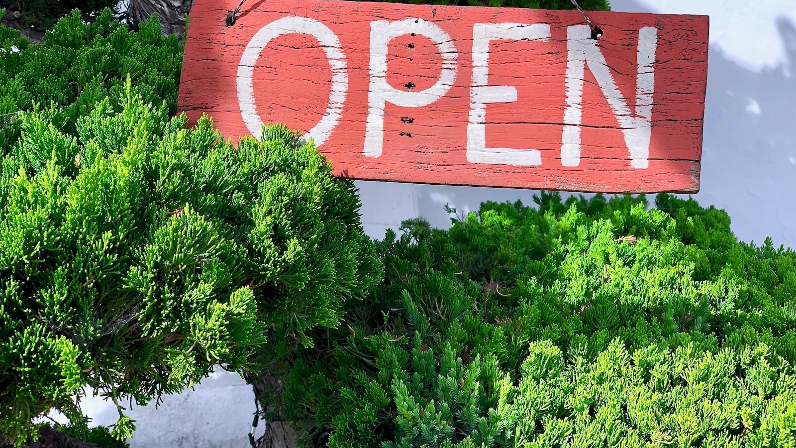 Best Practices and Strategies for Developing a Successful eCommerce App
