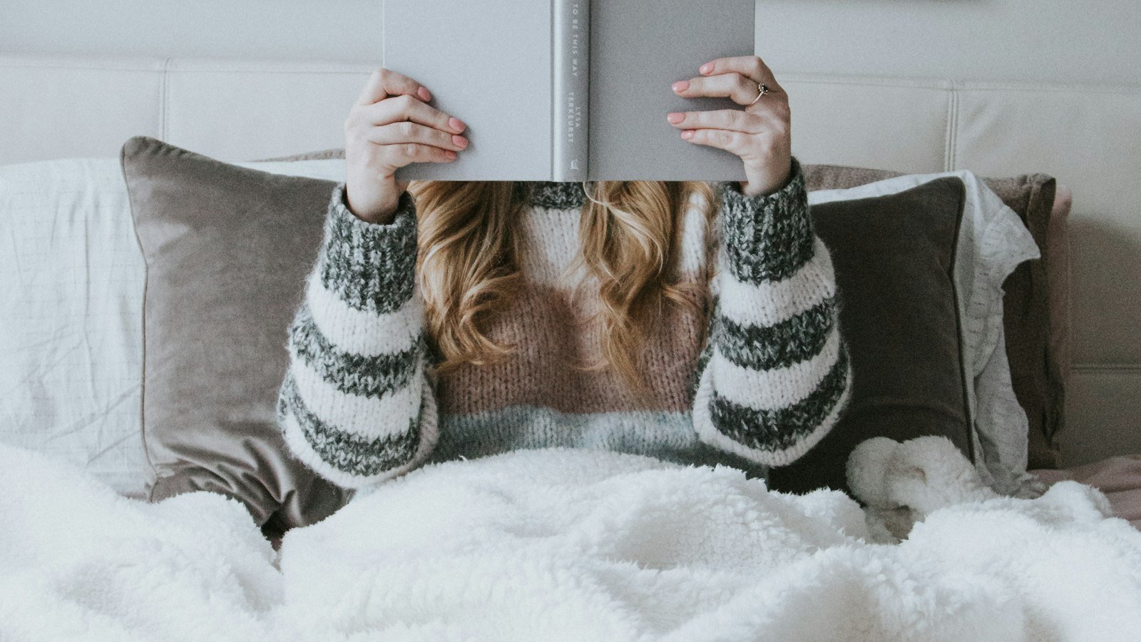 Introducing The Loyalty Lab: Amplifying Customer Engagement and Conversion Rates