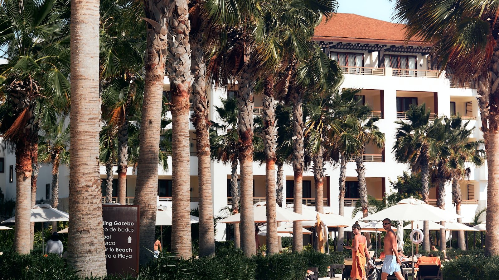 3. Unveiling Conversion Secrets: How Trackers Drive Sales and Revenue