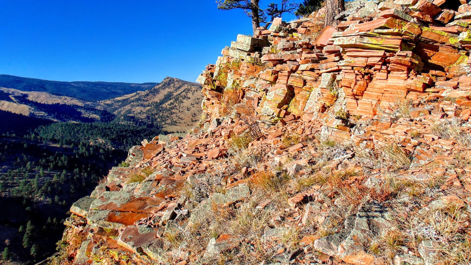 Retain Departing Visitors: Captivate Audiences with Persuasive Exit-Intent Popups