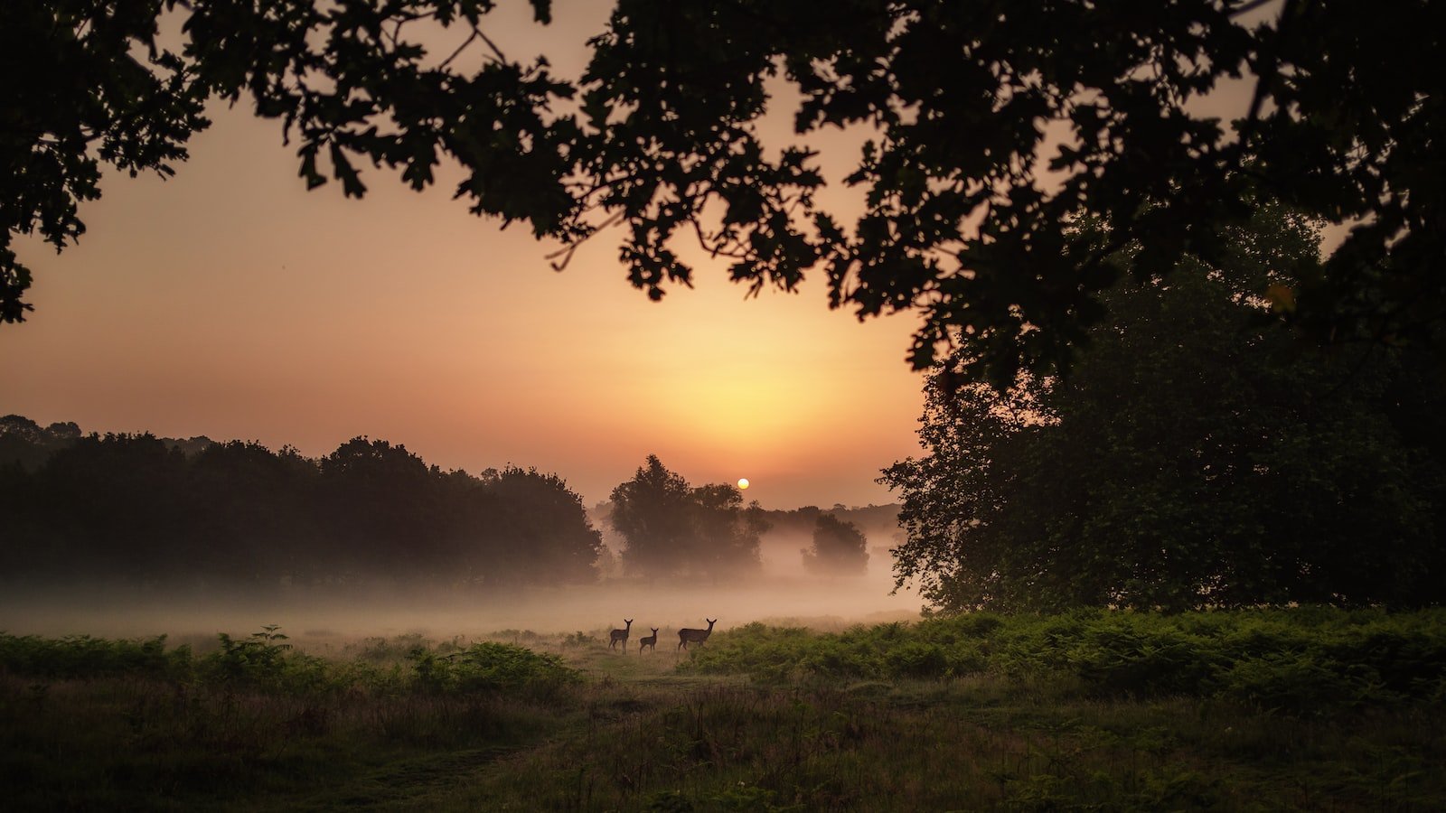 Uncover the Foundations: Defining Your Business Goals and Objectives