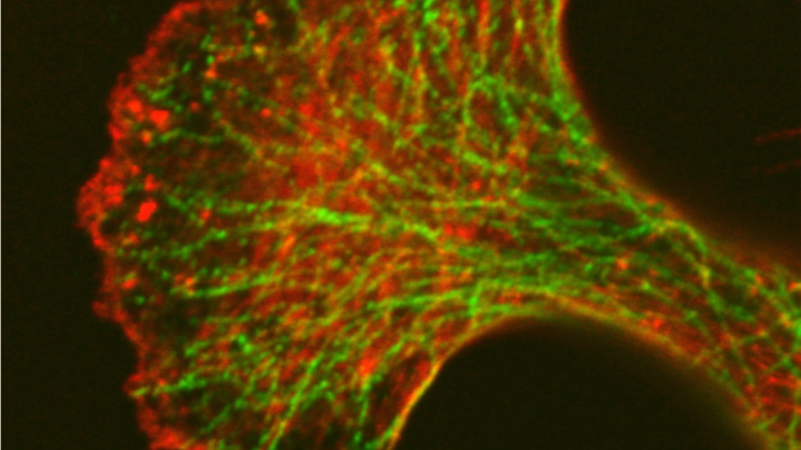 - Enhancing User Experience⁢ through Usability Testing: Unveiling‌ the‌ Key to‍ Effective Website ​Optimization
- Unleashing the‍ Potential of Usability Testing: Maximizing Conversion Rates and User Satisfaction
-⁣ From Insights to Action: Leveraging Usability Testing‌ to Implement Targeted Website Enhancements
-​ Empowering Your Website with Usability⁣ Testing: Transforming Data into Concrete Recommendations