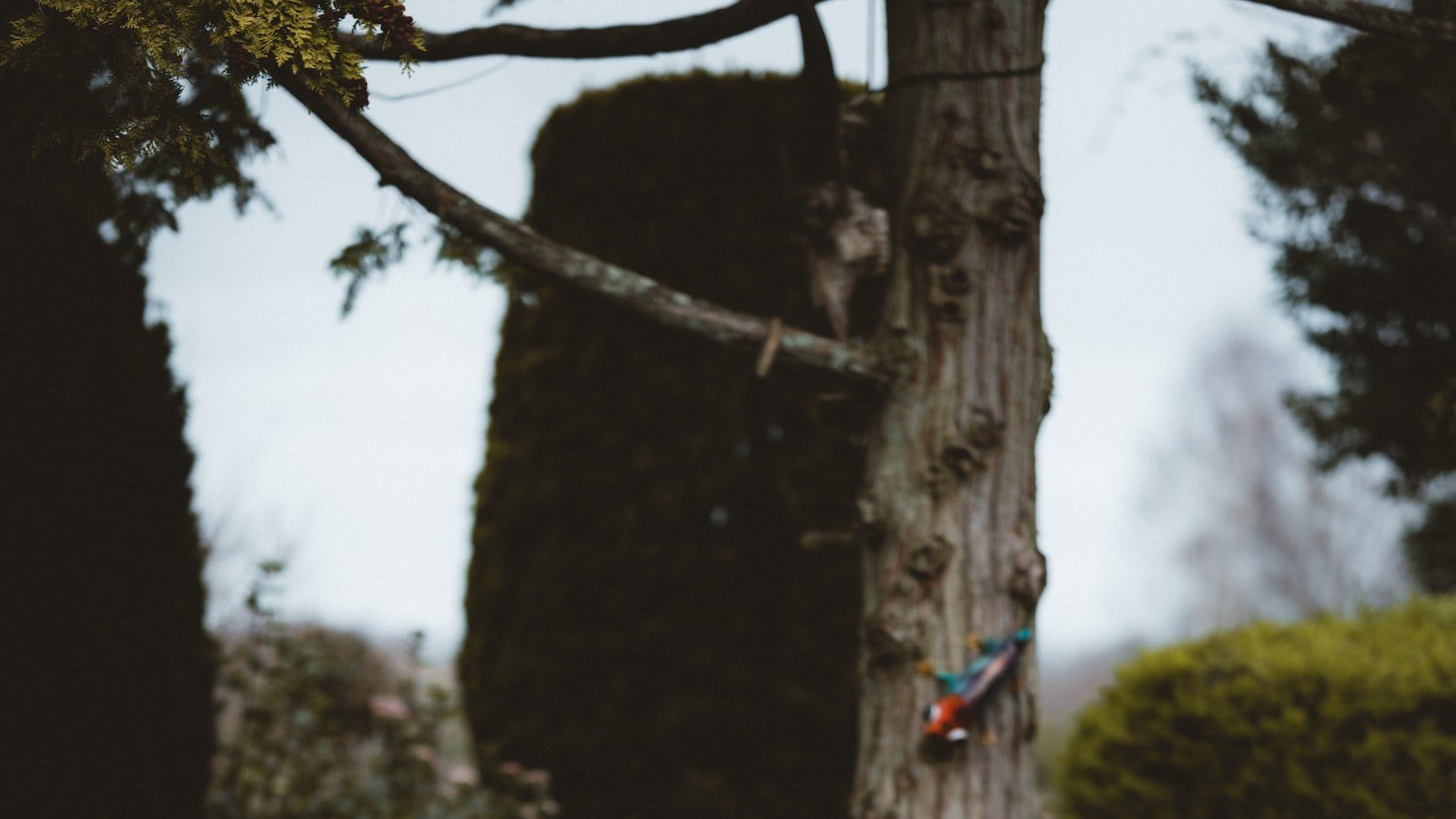 Heading 1:‍ The Mobile Advantage: Optimizing ⁣Your ⁤Website for On-the-Go Users
Heading 2: Designing for Mobile: Key Elements⁣ for a User-Friendly Experience
Heading 3: Speed Matters:⁤ Accelerating Mobile Performance for Enhanced Engagement
Heading 4: Beyond Responsive‌ Design: Mobile-first⁣ Strategies for Website⁢ Success