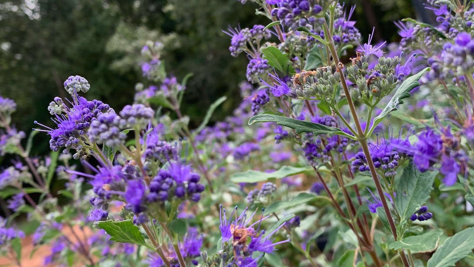 Proven Techniques to Establish SEO Harmony and Preserve Keyword Relevance