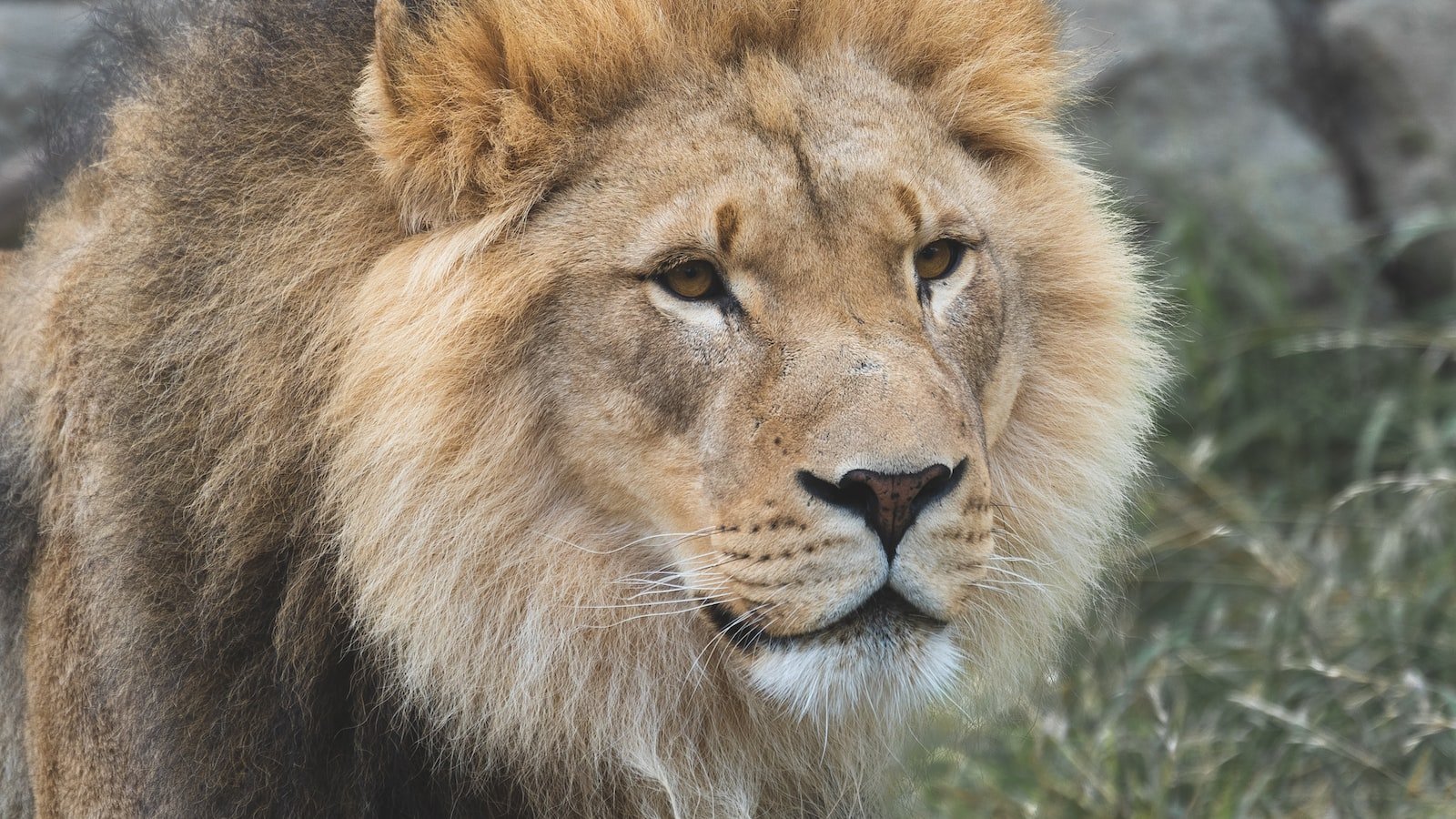 Understanding the Importance of Internal⁤ Links in Web ‌Weaving
Unleashing the Potential of ​Internal Links in‍ Enhancing ​User Experience
Strategic Approaches to Mastering Web Weaving with Internal Links
Optimizing Internal Links for Increased Website Traffic and Search Rankings