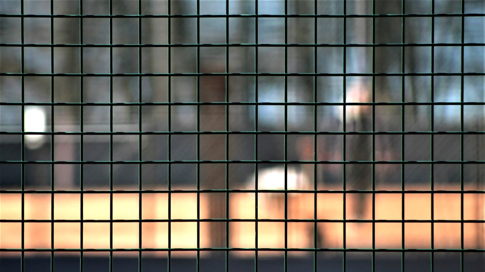 Ensuring Data Security: The Importance of SSL Encryption