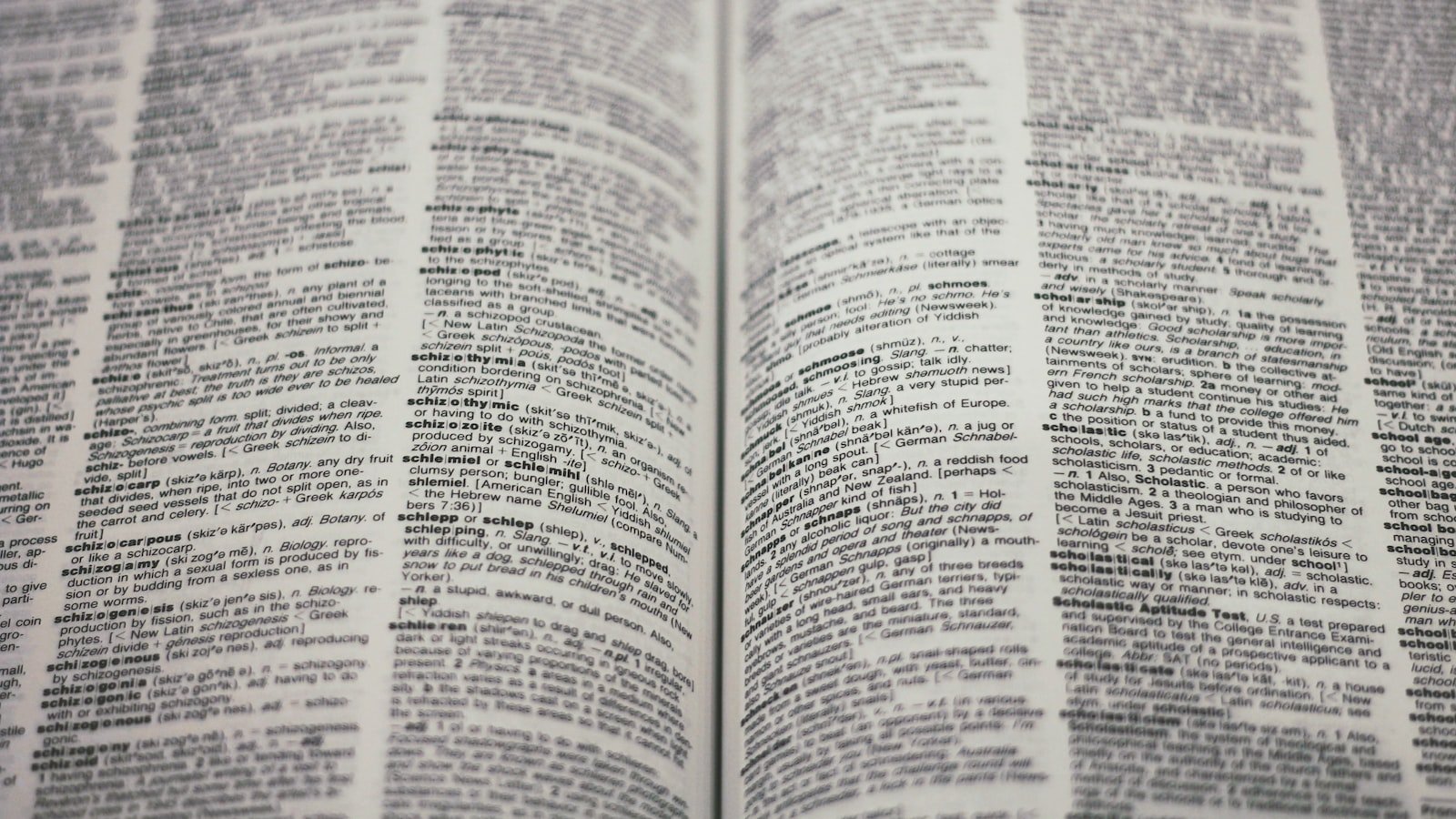 Understanding the Role of Natural Language Processing in SEO