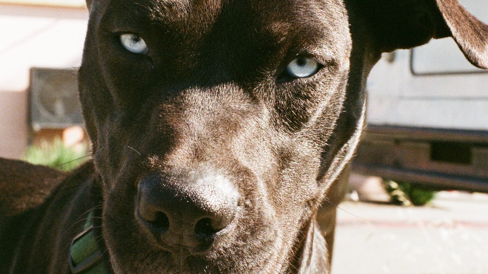 Harnessing the Power of Cache: Maximizing Performance for eCommerce Platforms