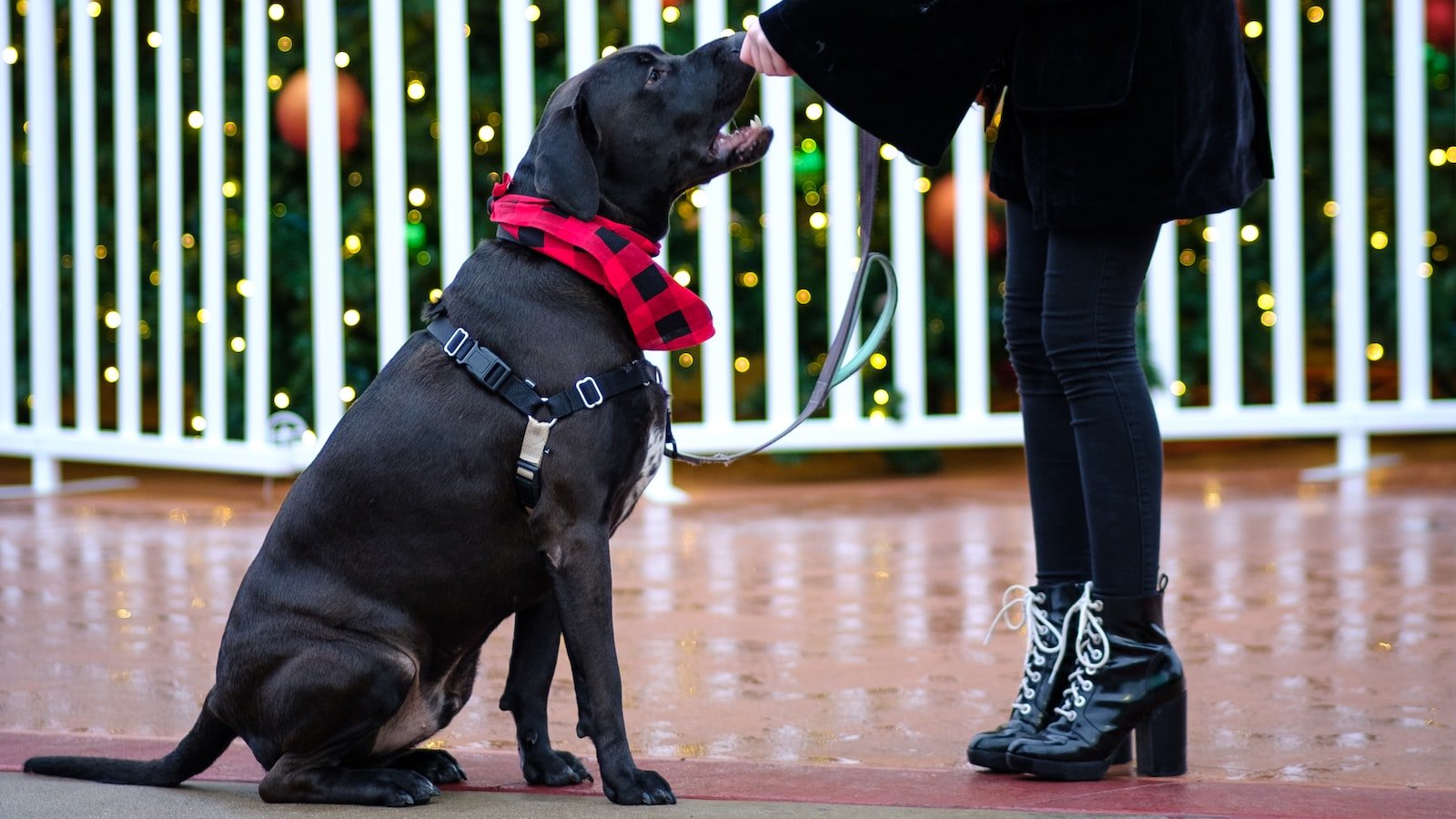 Harnessing User Engagement on Social Media to Drive Organic Traffic