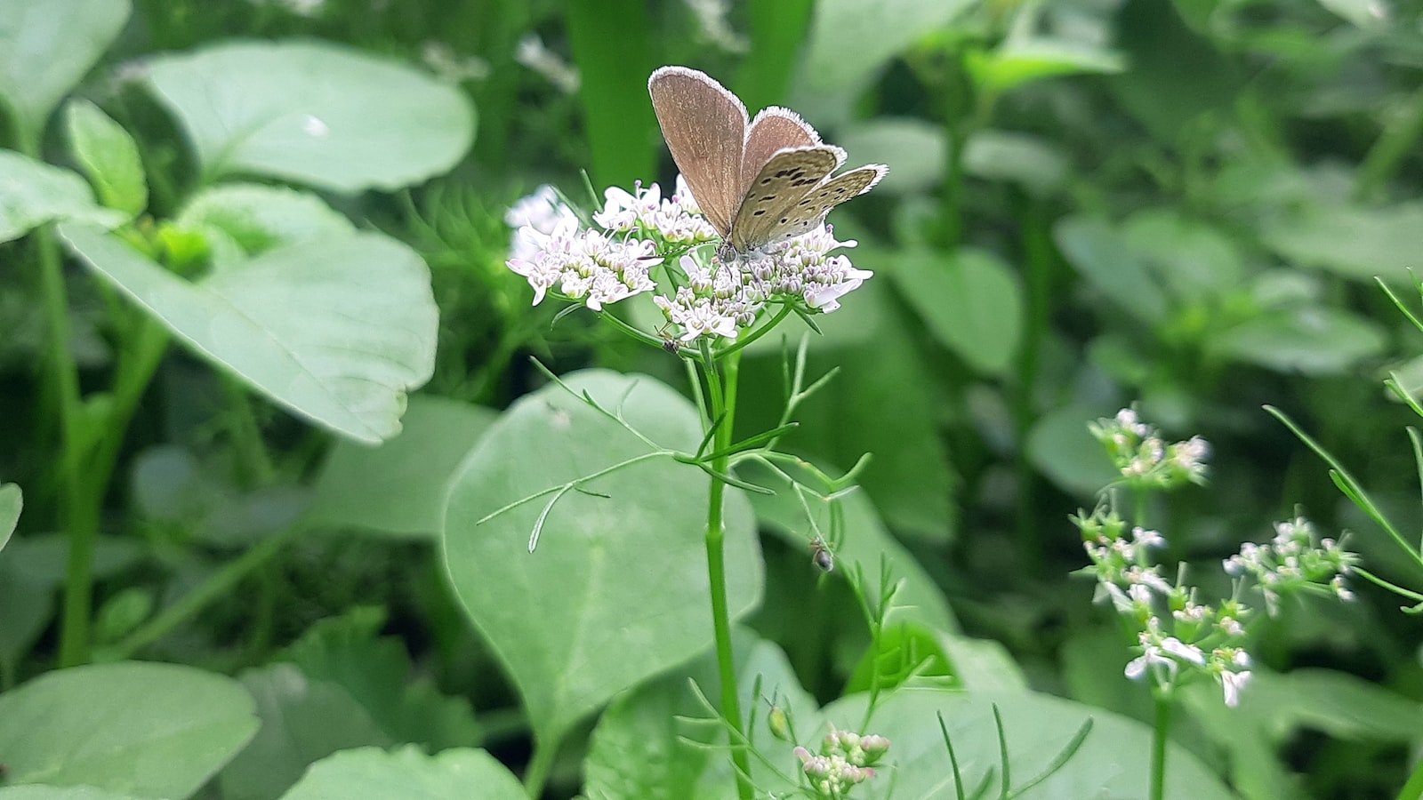 Best Practices for Harnessing Deep Linking to Improve Mobile App Discoverability